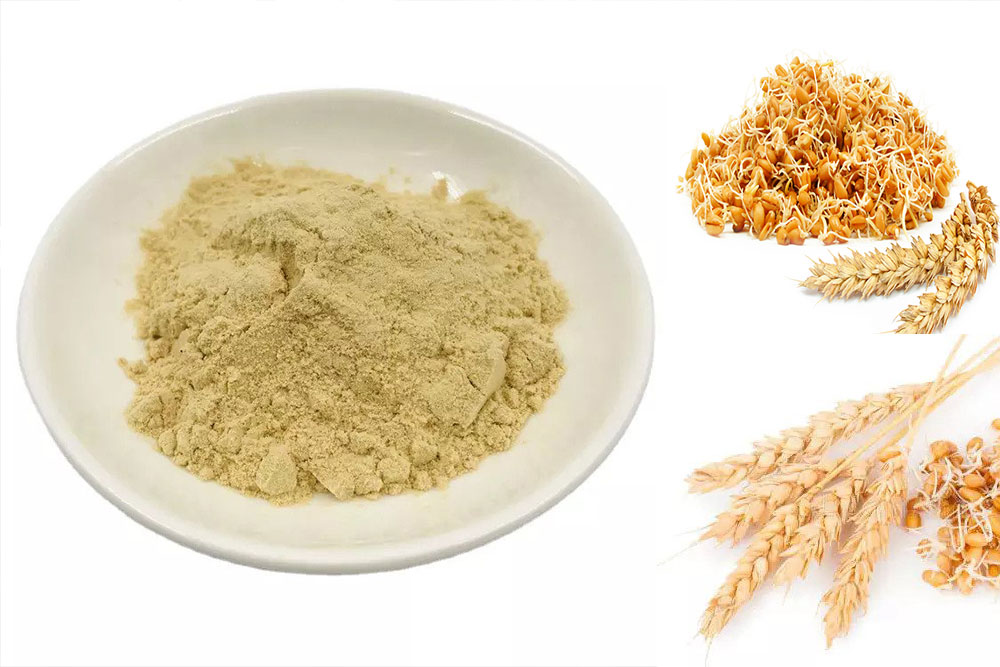 wheat germ extract Spermidine powder