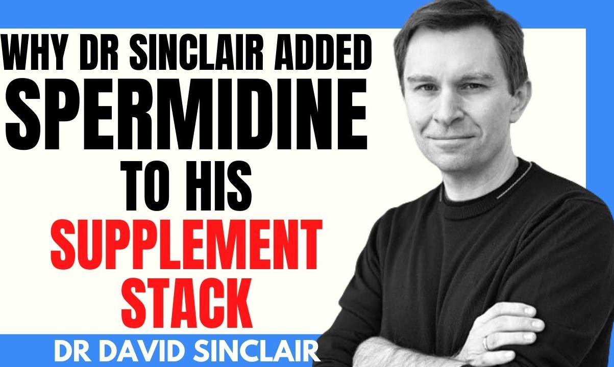 David Sinclair Spermidine: Anti-Aging, Longevity Supplement